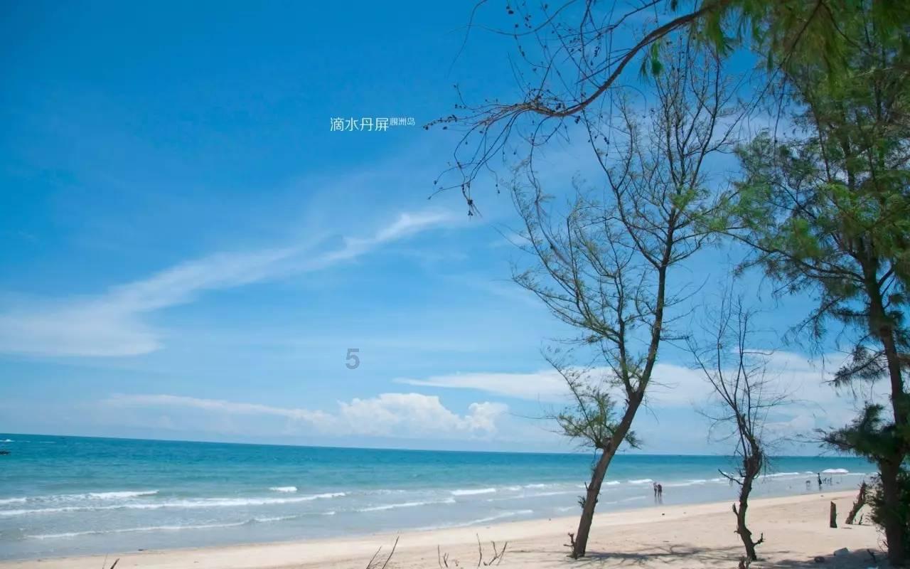最新热门话题讨论-微信诋毁他人警察会怎样处理?的红迪网