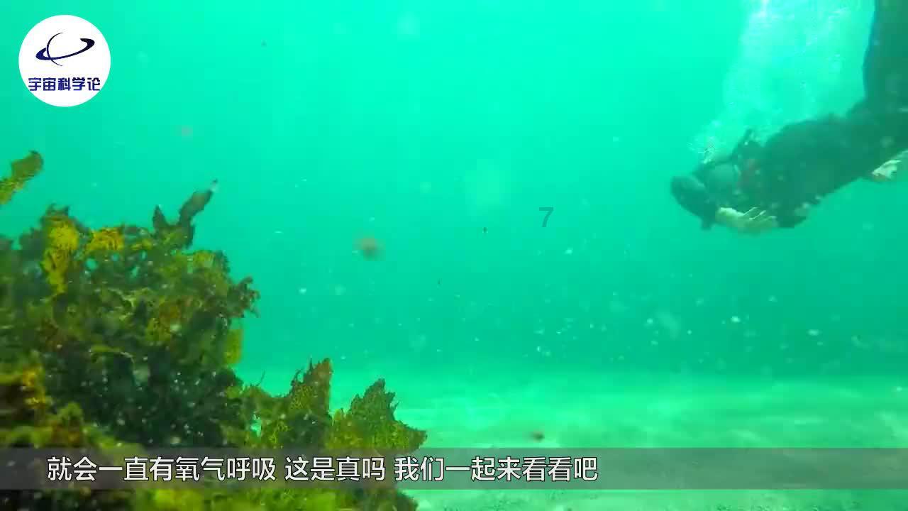 微软官网下载的win10镜像是哪个版本？游戏画面